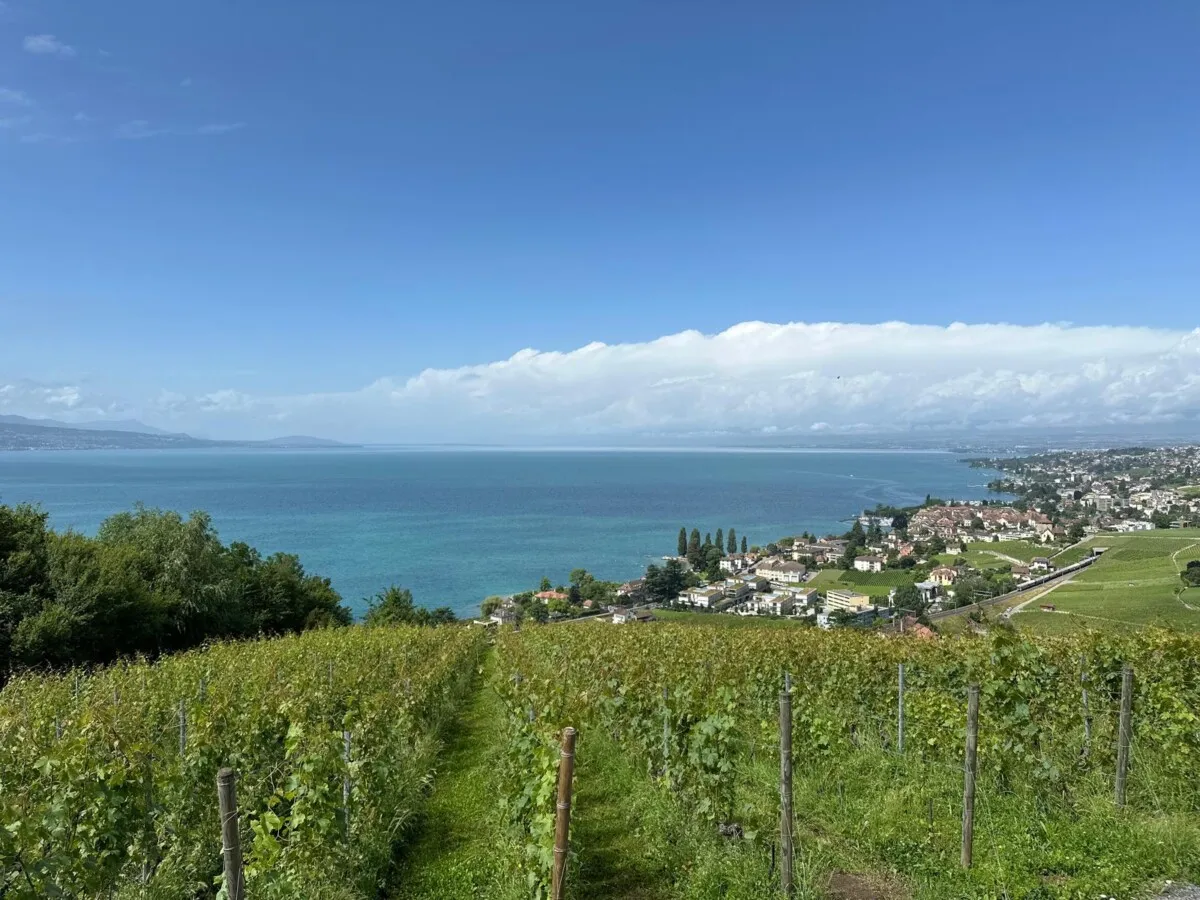 Panorama über den Genfersee und die Rebberge des Lavaux