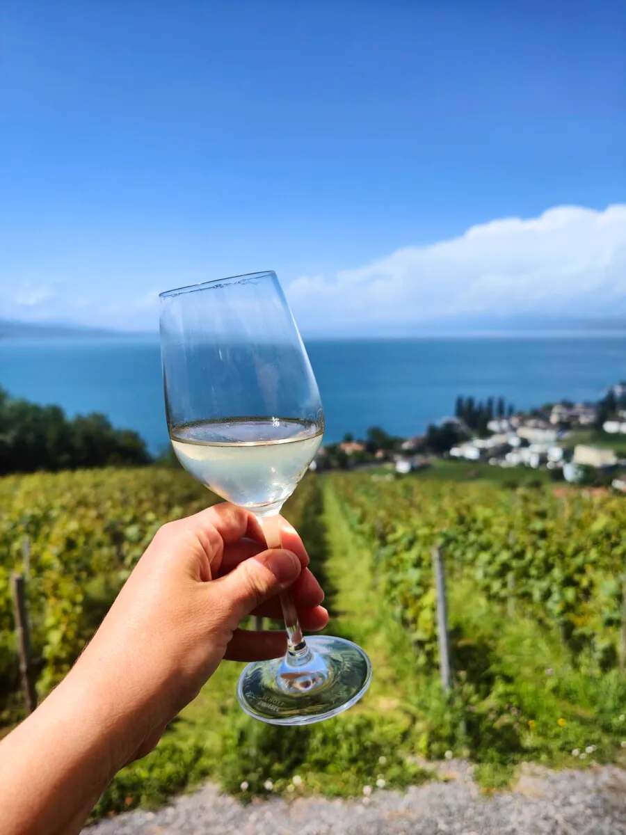 Ein Glas Weisswein mit Blick über die Rebberge und den Genfersee