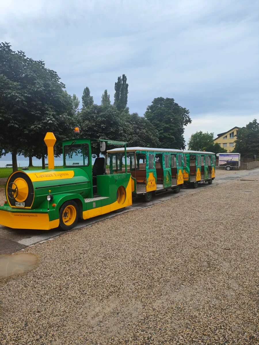 Der grün-gelbe Lavaux Express wartet auf die Ausflugsgruppe